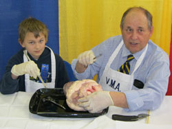 Dan Adams M.D.
