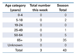 Flu chart