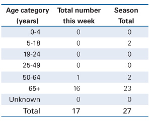 flu stats